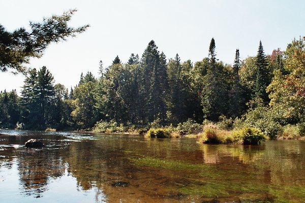 Algonquin Provencial Park - Natur pur